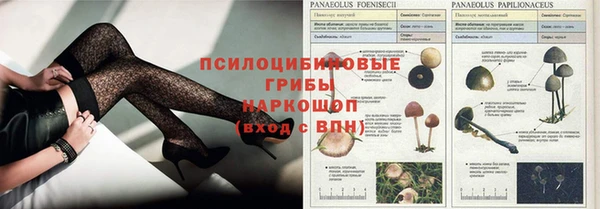 дурь Надым