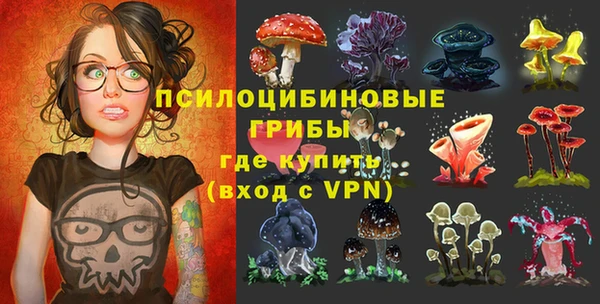 мдпв Горно-Алтайск