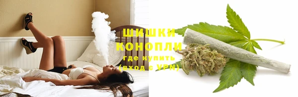 тгк Горнозаводск