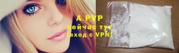ешки Горняк