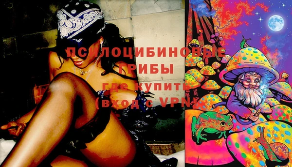 ешки Горняк