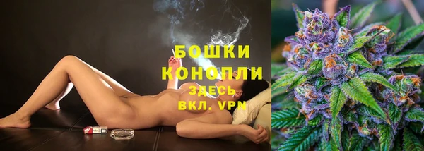 тгк Горнозаводск