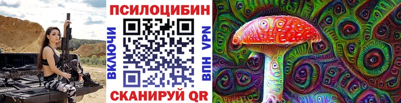 магазин продажи наркотиков  Плёс  Псилоцибиновые грибы MAGIC MUSHROOMS 
